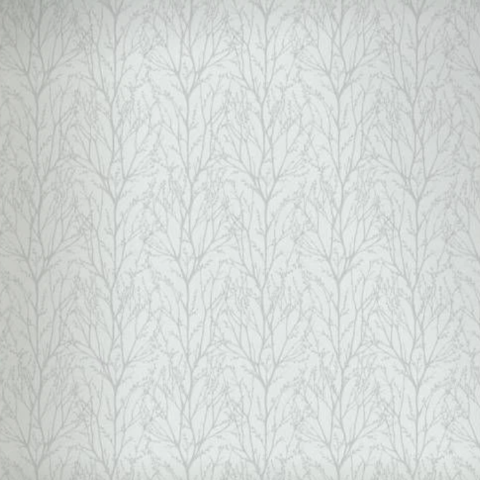 Delamere Silver Birch Trees