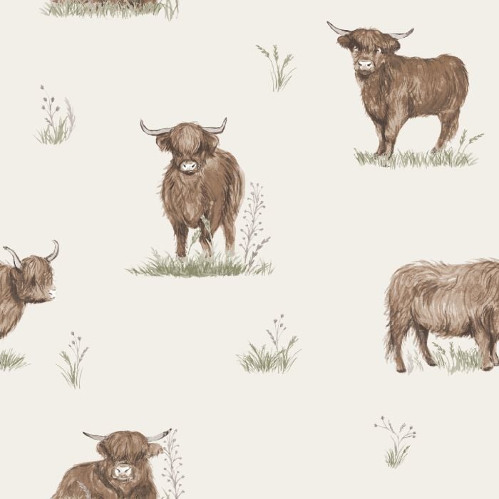 Angus Highland Cow Wallpaper