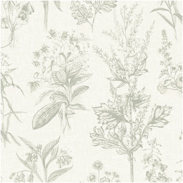Herbarium Wallpaper