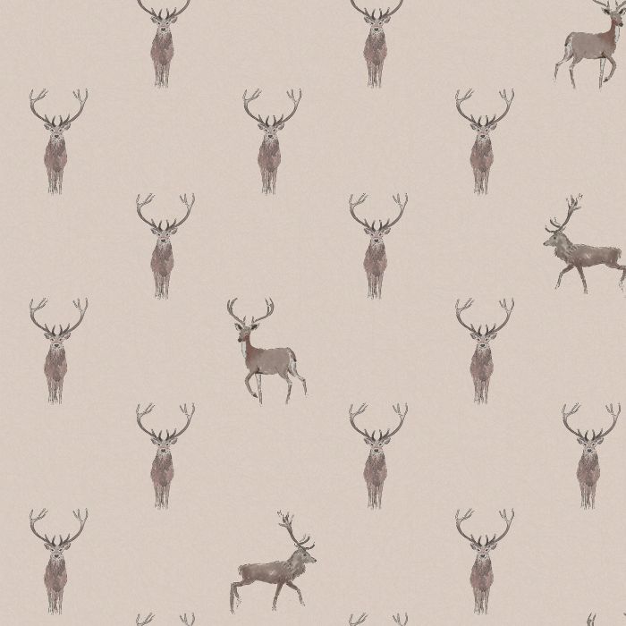 Highland Stag Wallpaper