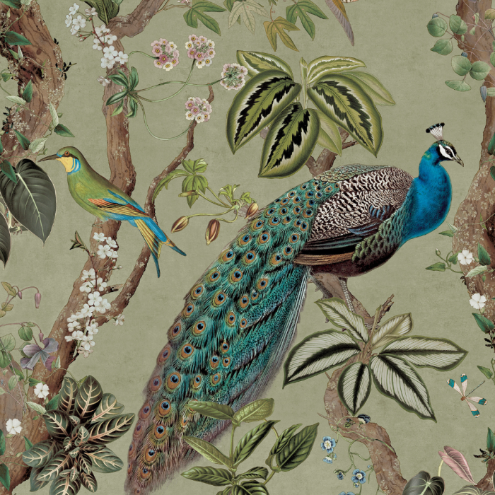 Peacock Woods Wallpaper Sage
