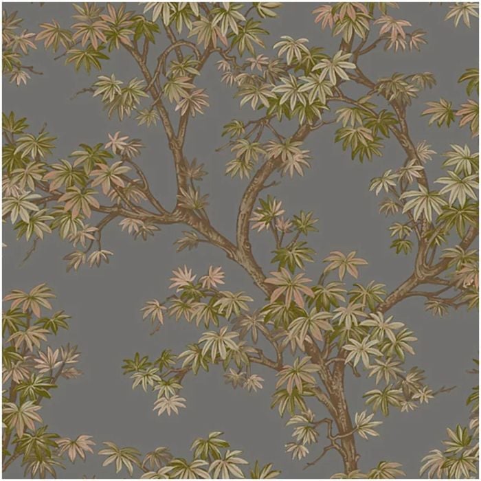 Paul Moneypenny Acer Tree Wallpaper Charcoal