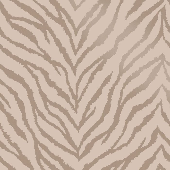 Zahara Zebra Wallpaper