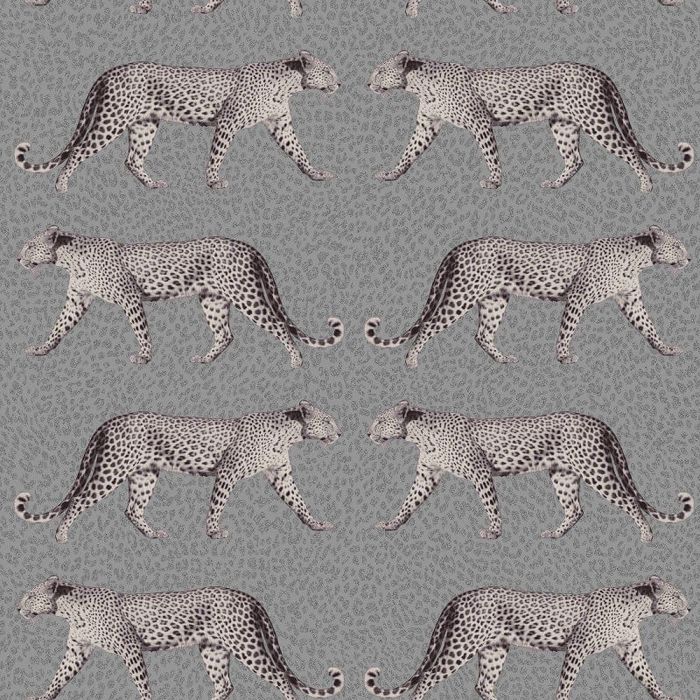 Leopard Charcoal Wallpaper