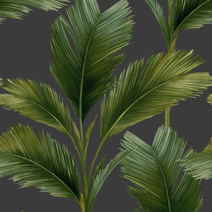 Kailani Palm Wallpaper