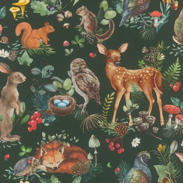 Kids Forest Walk Wallpaper
